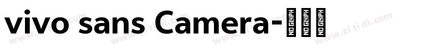 vivo sans Camera字体转换